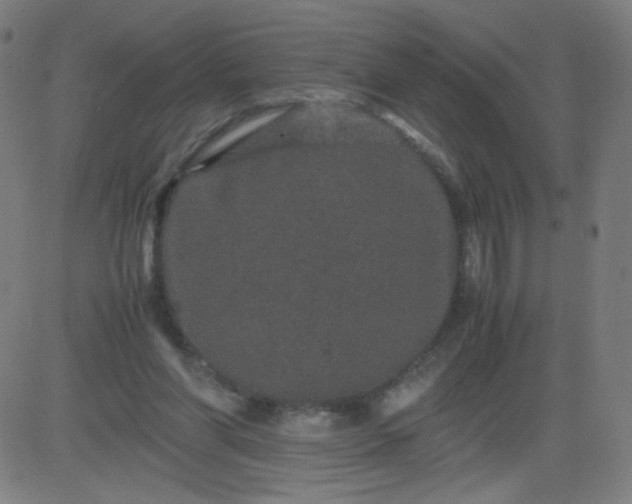 X0000082740206200702091911