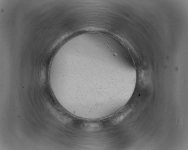 X0000082740208200702091911