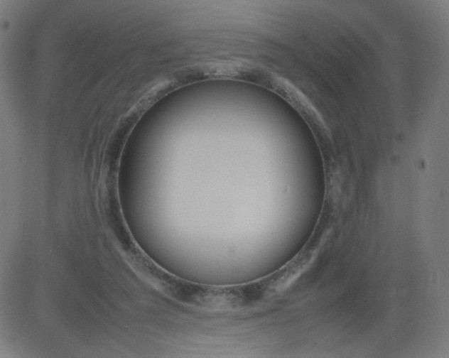 X0000082740209200702091911