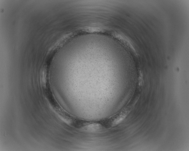 X0000082740210200702091911