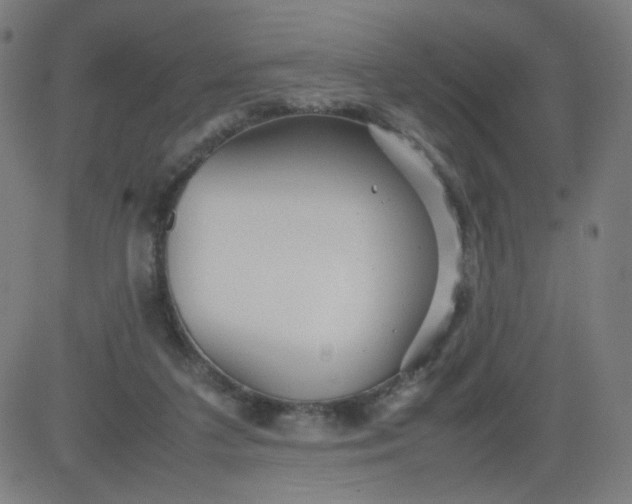 X0000082740211200702091911