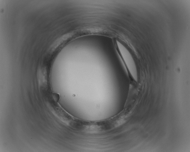 X0000082740212200702091911