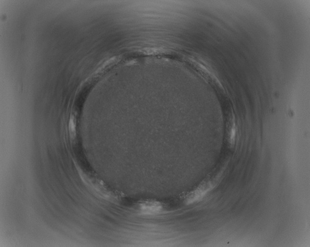 X0000082740214200702091911