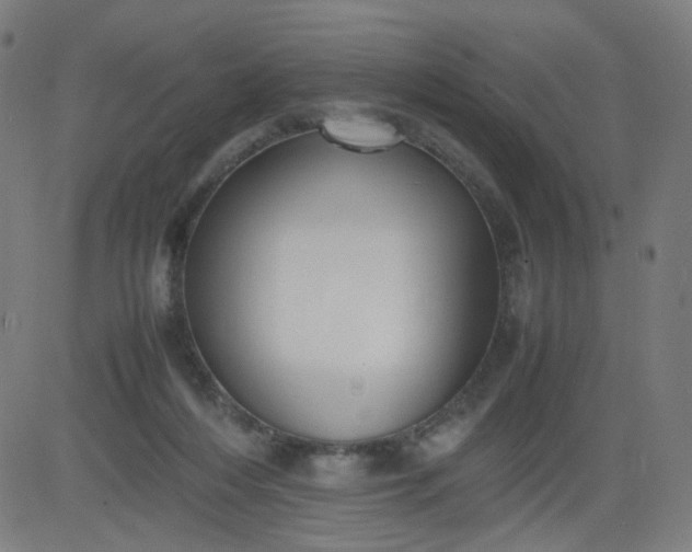 X0000082740216200702091911