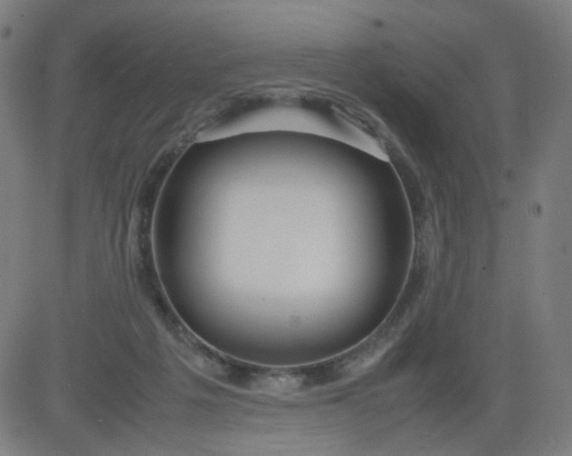 X0000082740217200702091911