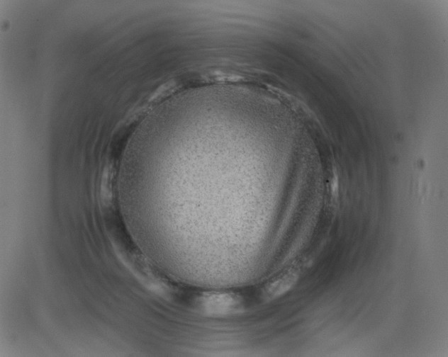 X0000082740218200702091911