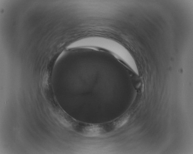 X0000082740219200702091911