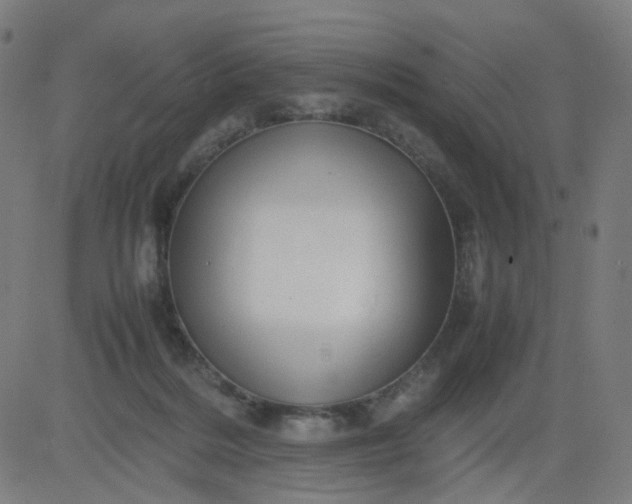 X0000082740220200702091911