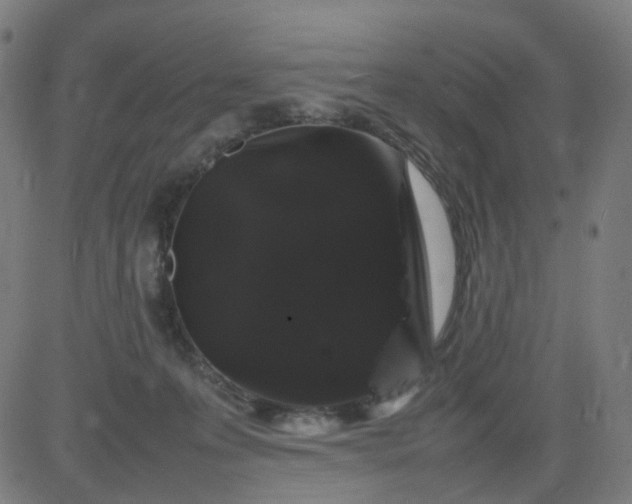 X0000082740223200702091911