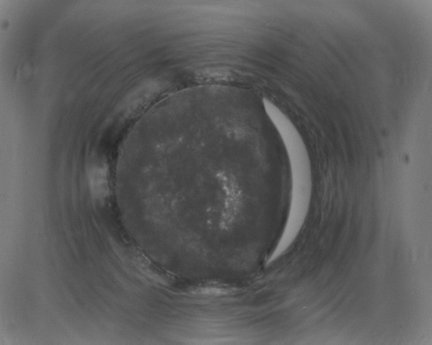 X0000082740224200702091911