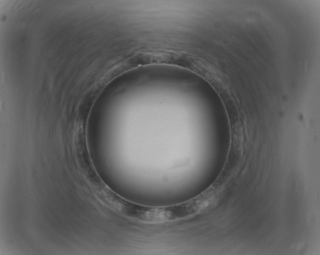 X0000082740225200702091911