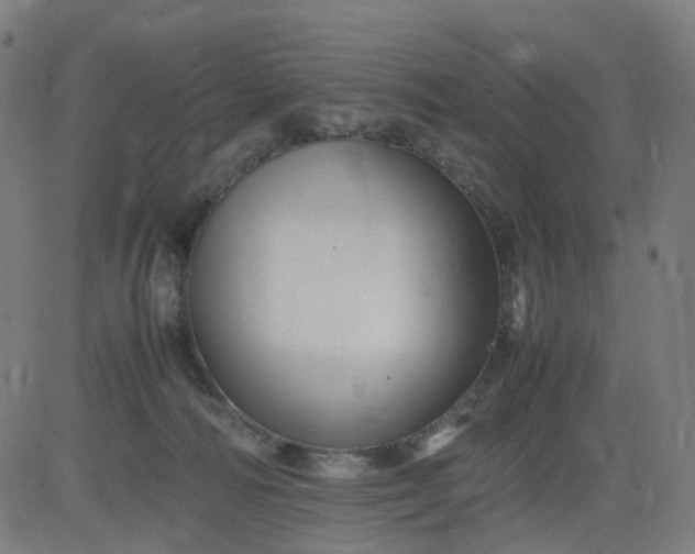 X0000082740226200702091911