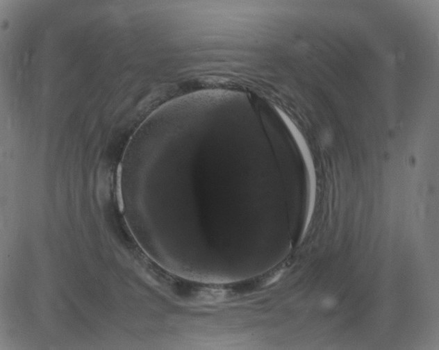 X0000082740227200702091911