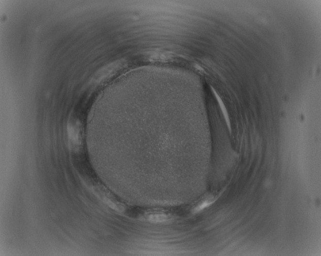 X0000082740228200702091911