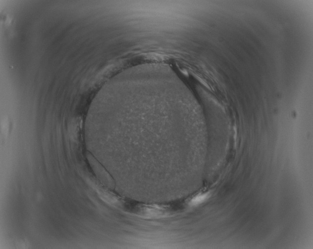 X0000082740229200702091911