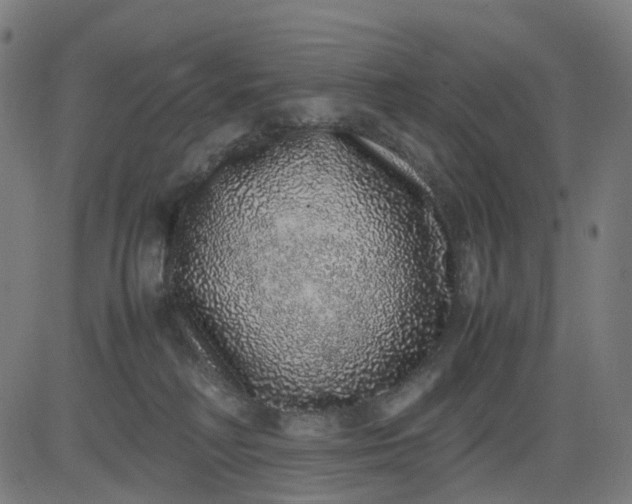 X0000082740230200702091911