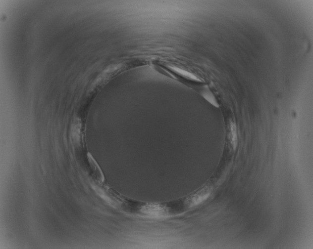 X0000082740231200702091911