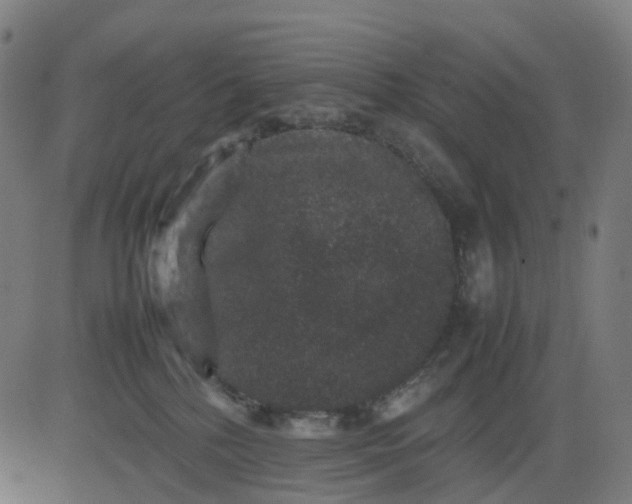 X0000082740232200702091911