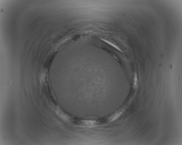 X0000082740233200702091911