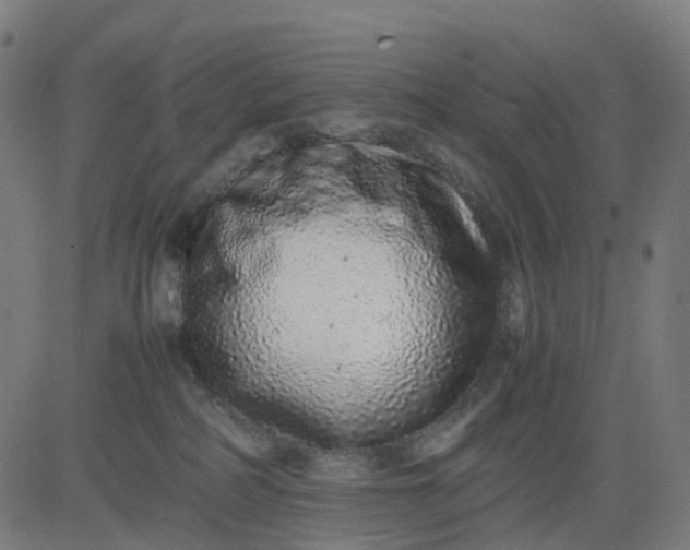 X0000082740234200702091911