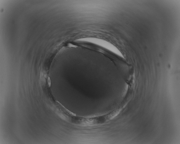 X0000082740235200702091911