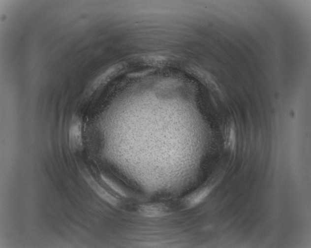 X0000082740238200702091911