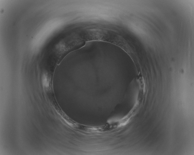 X0000082740239200702091911