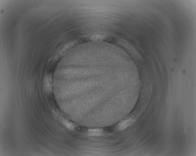 X0000082740240200702091911