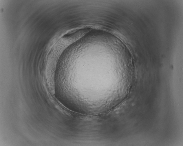 X0000082740241200702091910