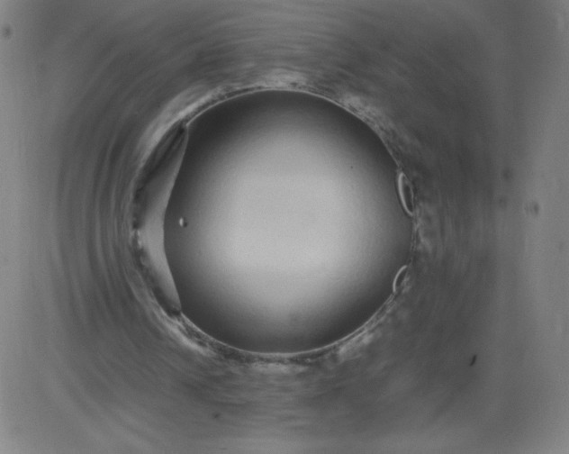 X0000082740242200702091910