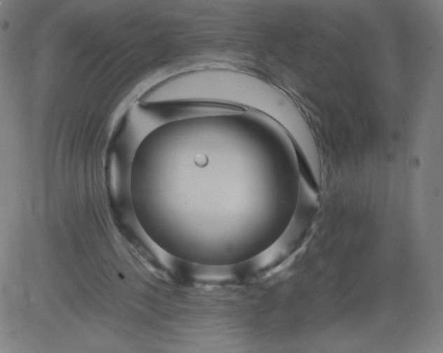 X0000082740244200702091910