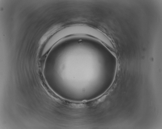 X0000082740245200702091910