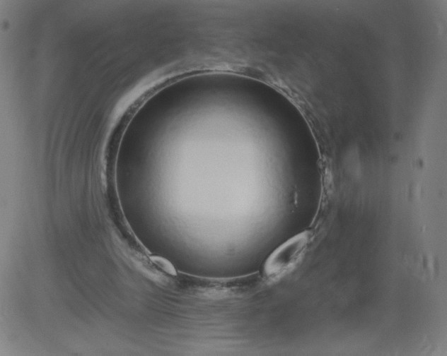 X0000082740246200702091910