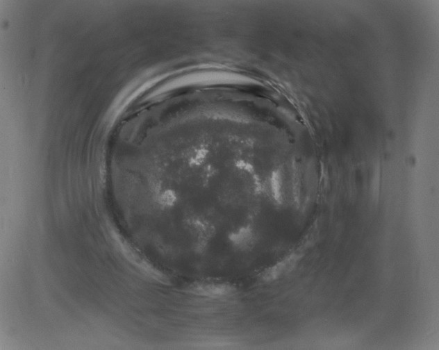 X0000082740247200702091910