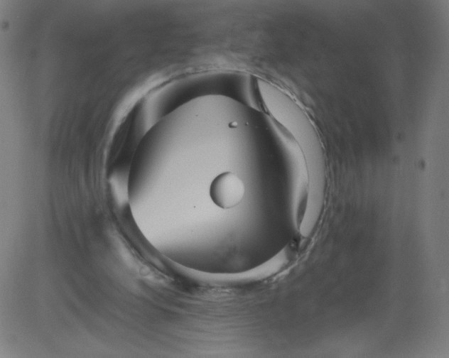 X0000082740248200702091910