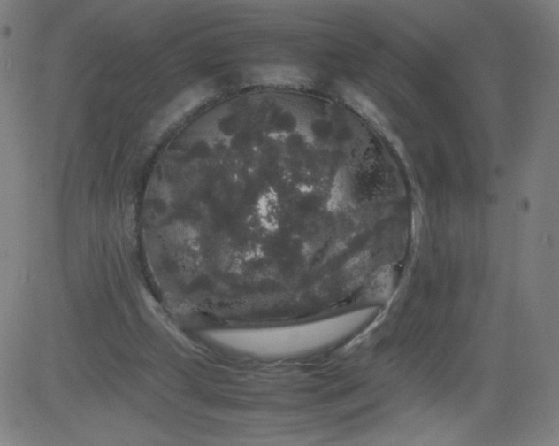 X0000082740249200702091910