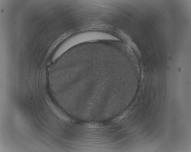 X0000082740250200702091910