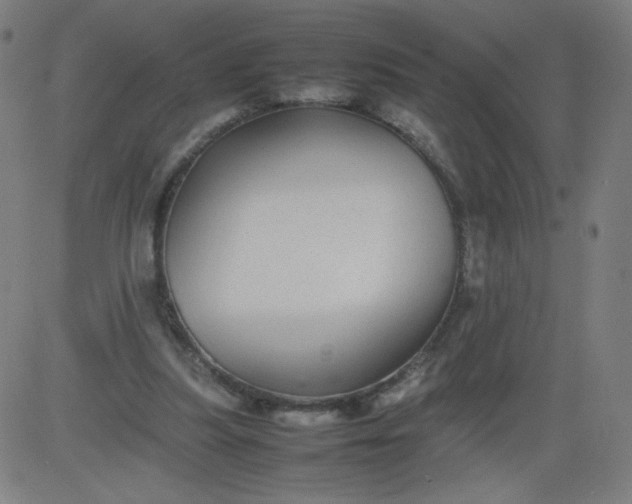 X0000082740251200702091910