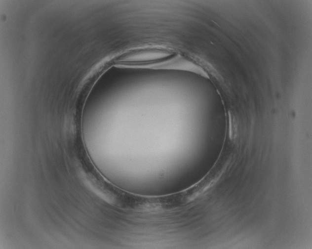 X0000082740252200702091910