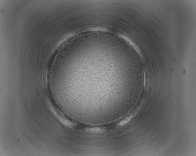 X0000082740253200702091910