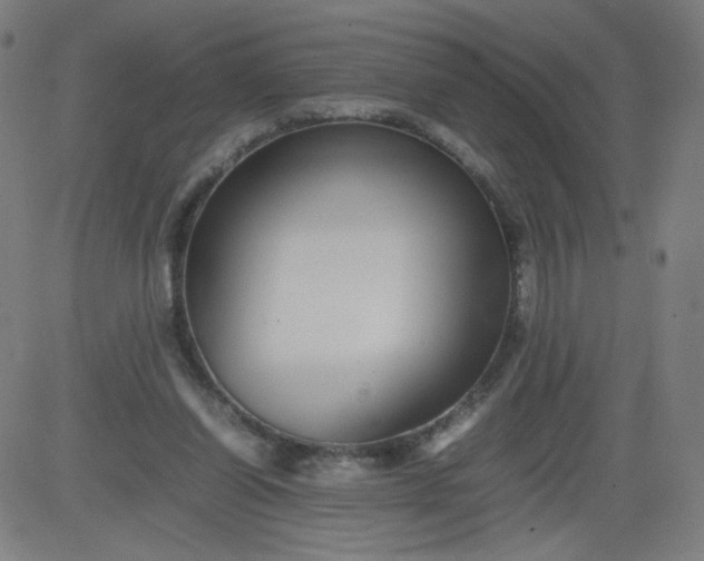 X0000082740254200702091910