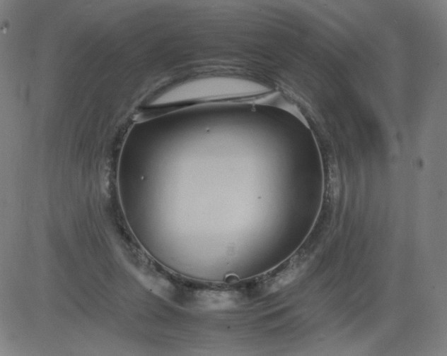 X0000082740255200702091910