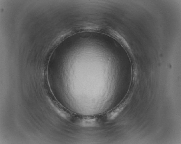 X0000082740257200702091910