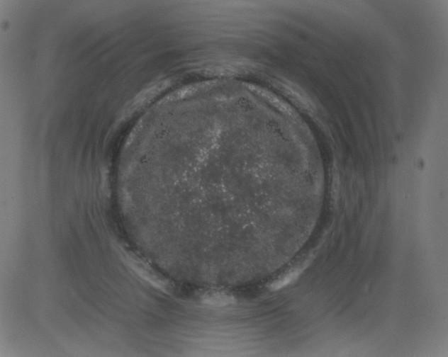 X0000082740258200702091910