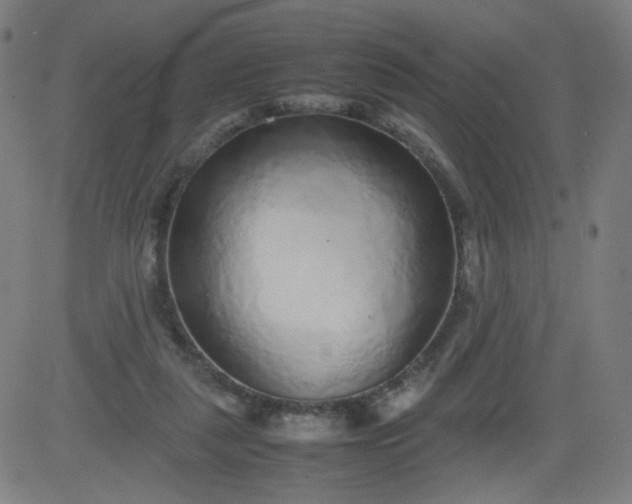 X0000082740259200702091910