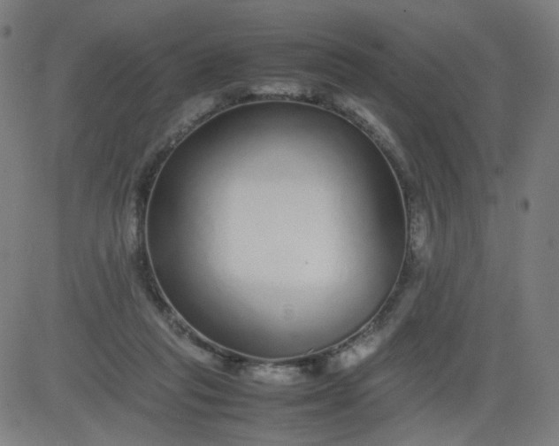 X0000082740261200702091910