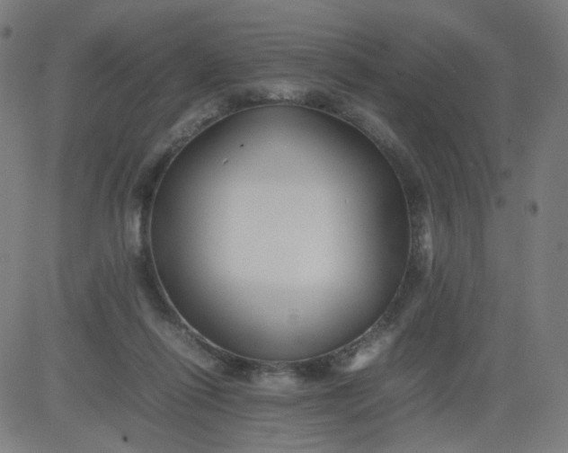 X0000082740262200702091910