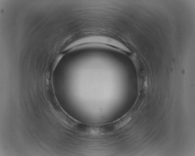 X0000082740264200702091911