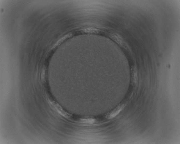 X0000082740266200702091911