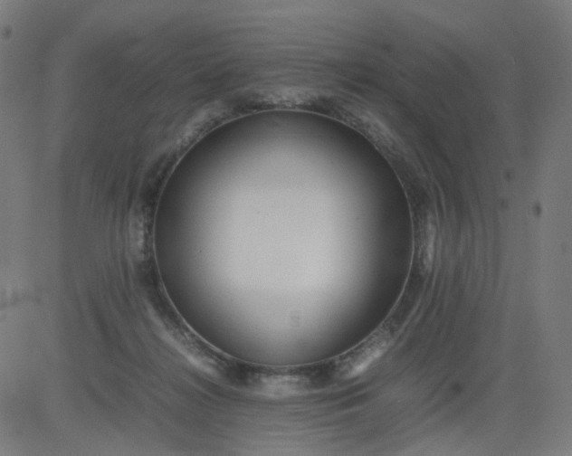 X0000082740268200702091911